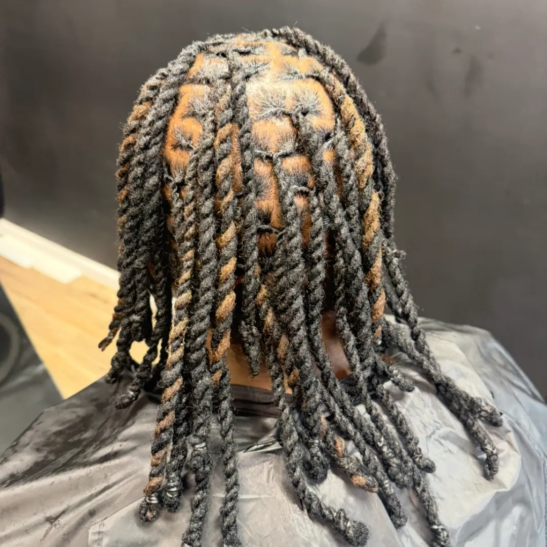 Locs styled in two-strand twists